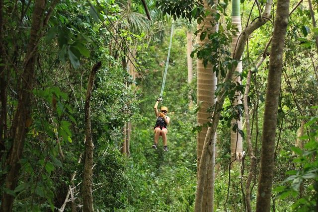 Rainforest Zipline Park